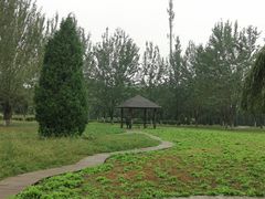 -碑林公园