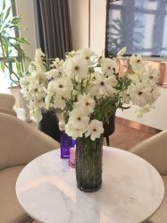 点击看大图 -杭州海亮医院 · 禾芸嘉医美中心