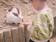 -栾川竹海野生动物园