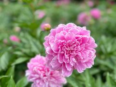 -长春公园(普阳街道)