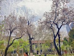 -山东大学(洪家楼校区)