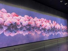 -罗红摄影艺术馆