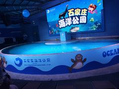 -石家庄海洋公园