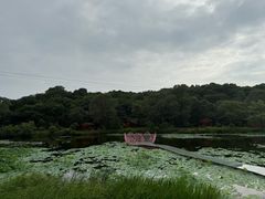 -大青沟风景区