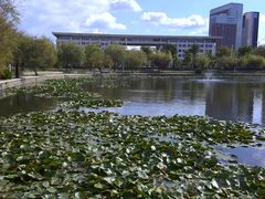 -山东大学(威海校区)