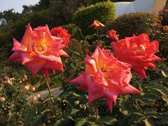 -人民公园(罗湖区)