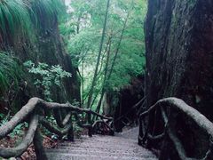-南尖岩