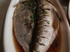 -天鹅到家·保姆月嫂育儿嫂(浦东店)