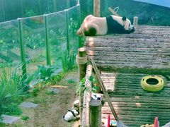 -大连森林动物园