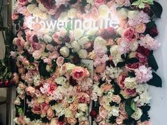 -花邻FloweringLife花艺气球派对(武康大楼店)