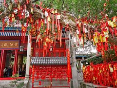 -国恩寺