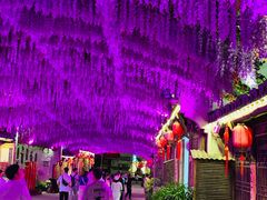 -婺源梦里老家大型山水实景演出