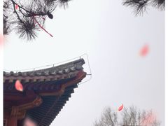 -香山公园