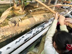 -石家庄市动物园