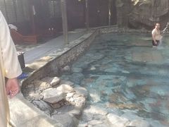 -宁海森林温泉