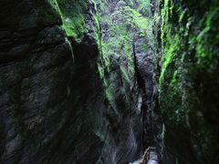 -牛背梁国家森林公园