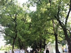 -上海交通大学医学院附属瑞金医院(总院)