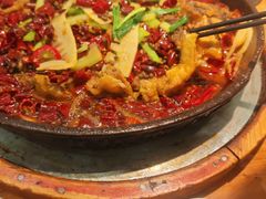 -老板恋上鱼(印象城店)