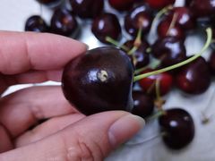 -江杨农产品批发市场