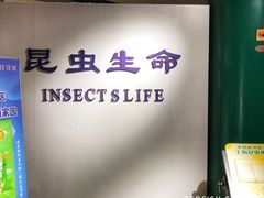 -上海昆虫博物馆