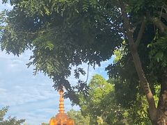 -金砂公园
