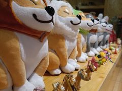 -柴务处·柴犬主题狗咖