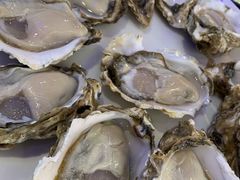 -千岛蚝高压锅生蚝·人参火锅(白云万达店)