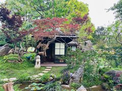 -上海鲜花港