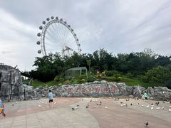 -大连森林动物园