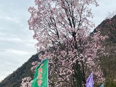 -九皇山景区