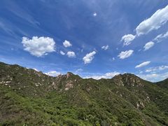-大岭沟猕猴桃谷风景区