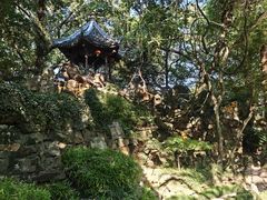 -绮园景区