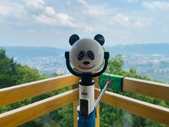 -缙云山景区