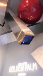 点击看大图 -金棕榈