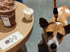 -星巴克臻选(杭州501城市广场1F店)