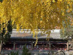 -潭柘寺景区