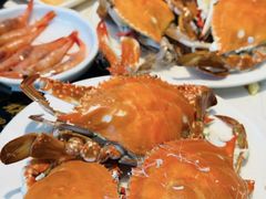 -半岛听涛蒸汽海鲜自助(K11店)