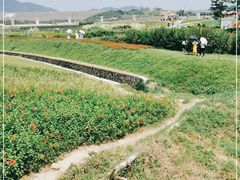 -光明小镇欢乐田园