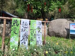 -鲁山国家森林公园