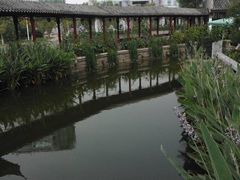 -龙潭水乡