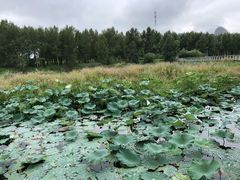 -哈尔滨大剧院