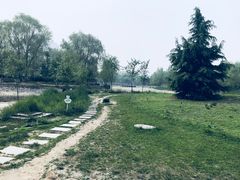 -望湖公园