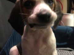 -DQ·蛋糕·冰淇淋(嘉兴南湖万达店)