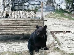 -黔灵山公园