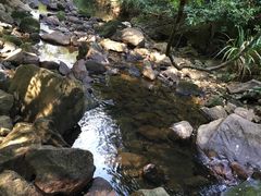 -广州市石门国家森林公园