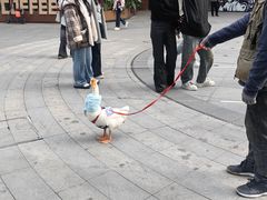 -大悦城(沈阳中街店)