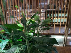 -浅深(北京北四环精品店)
