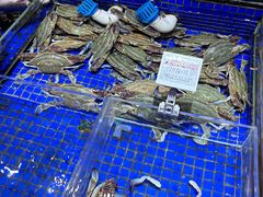 -高佳庄·舟山海鲜(海景旗舰店)