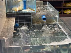 -西山人家·二十年老字号农家菜(旺山店)