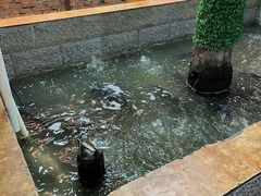 -高家小院铁锅炖大鹅(哈西高铁站店)